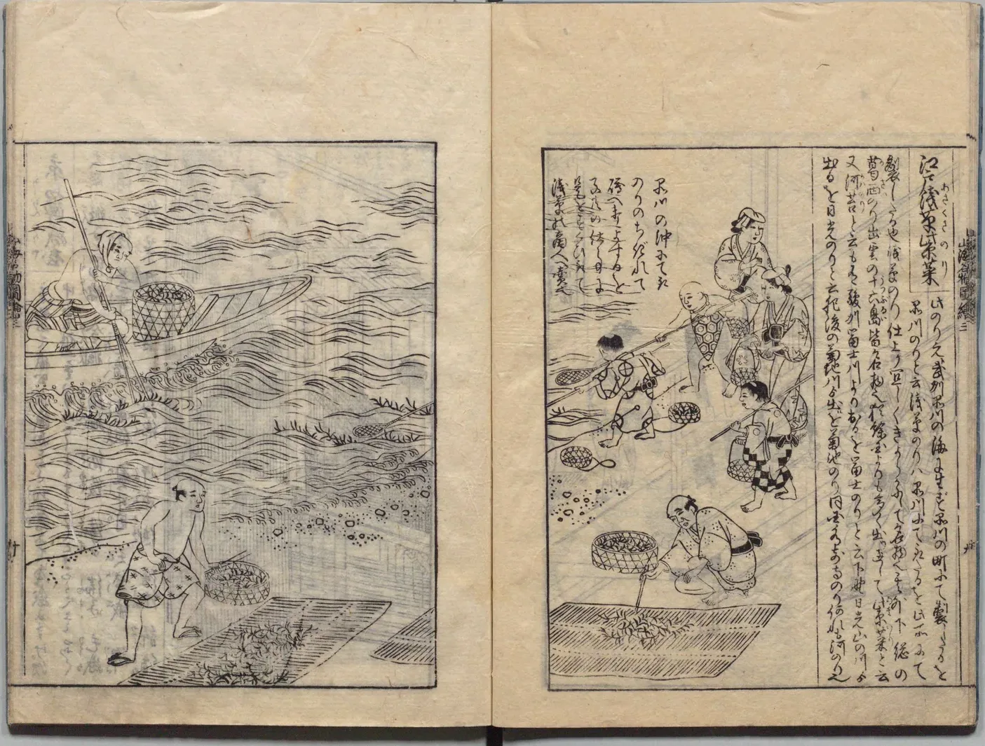 浅草海苔の図