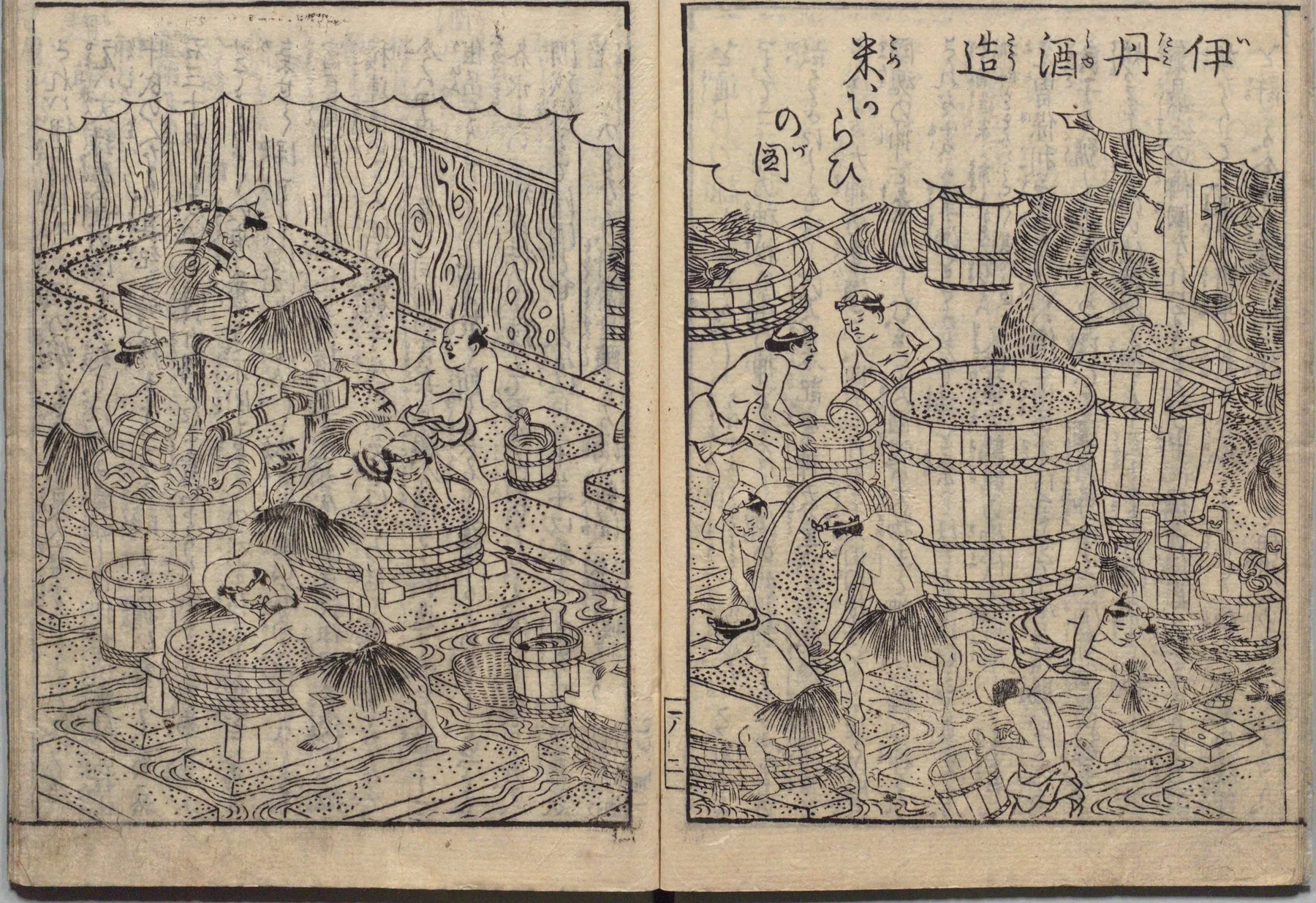 寒酒だち