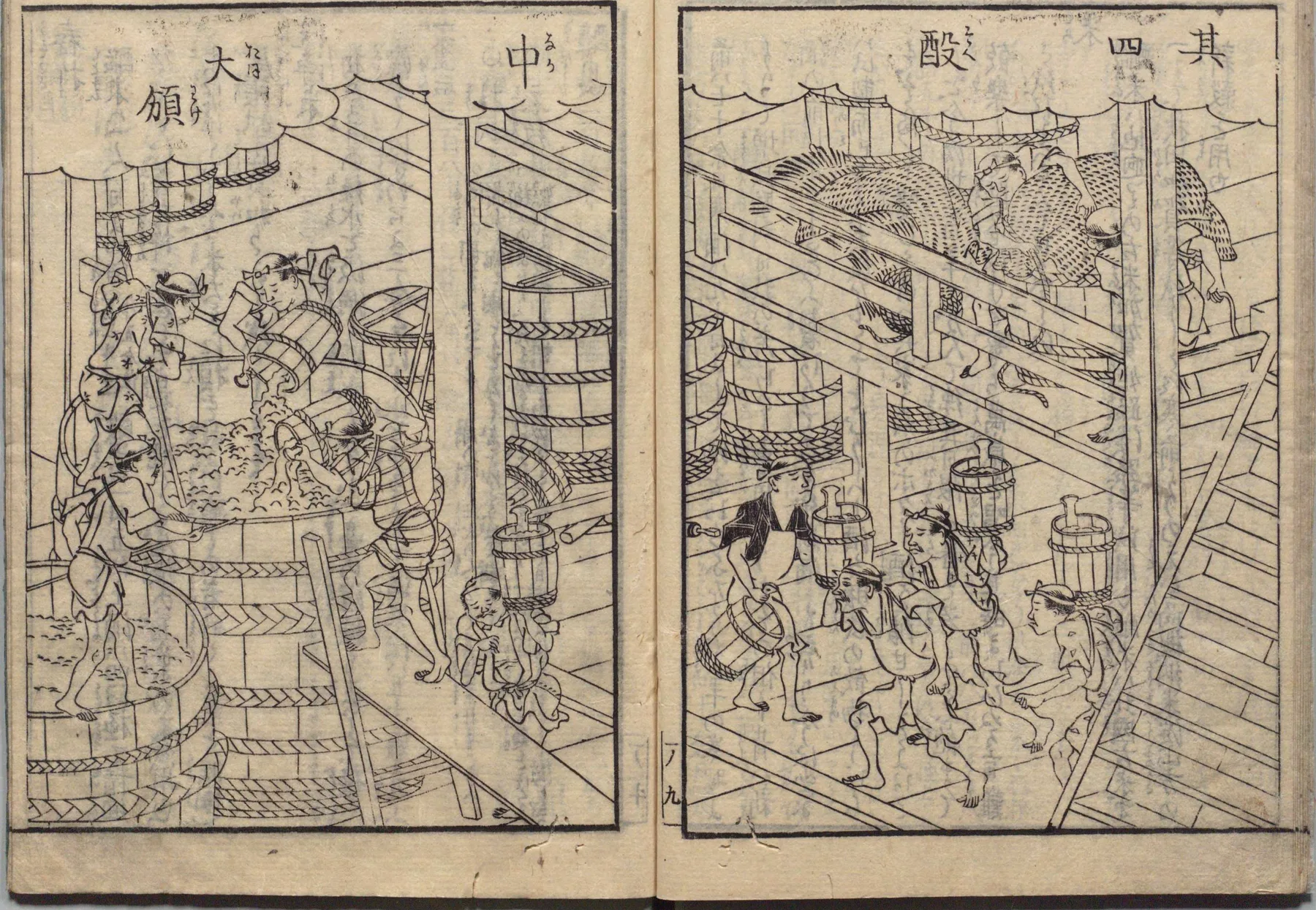 精米と洗米