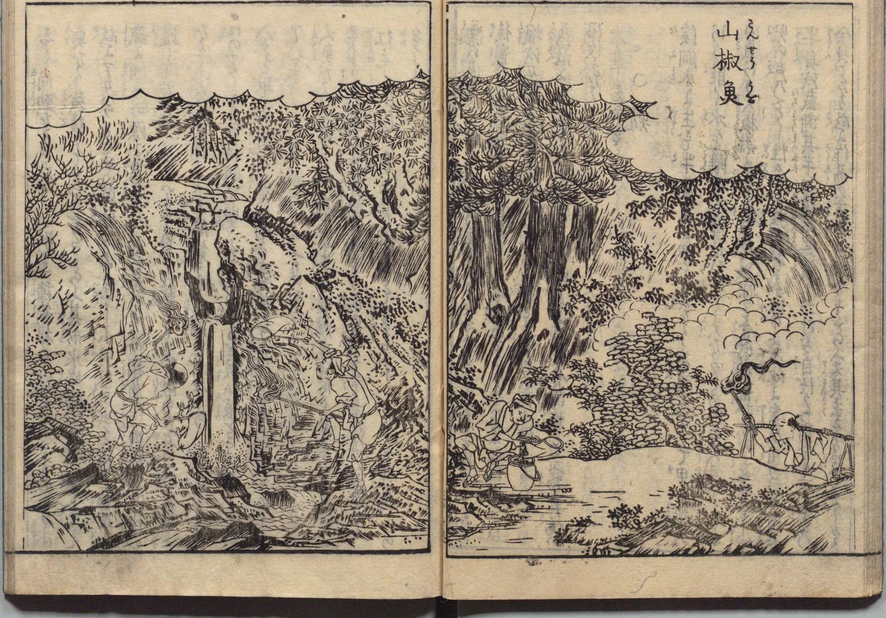 山椒魚の生態