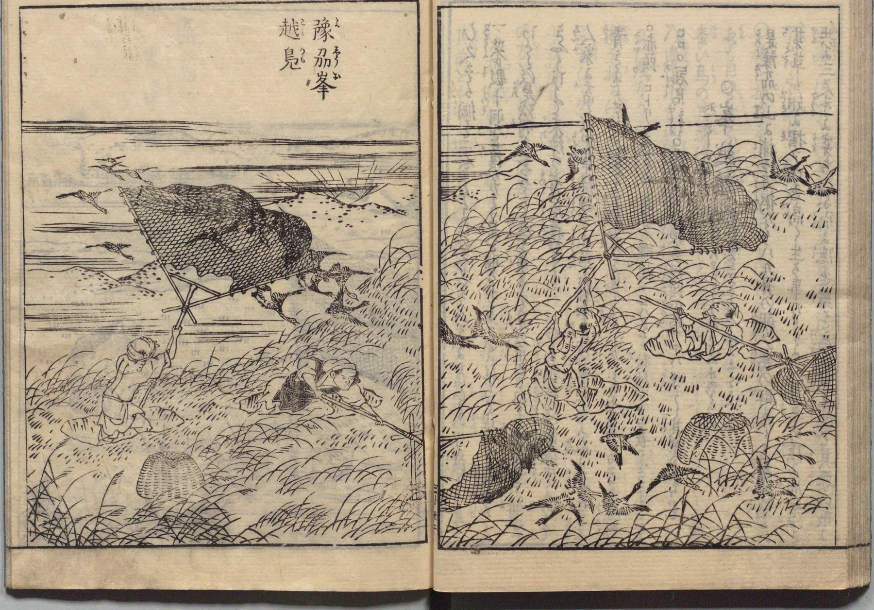 返網