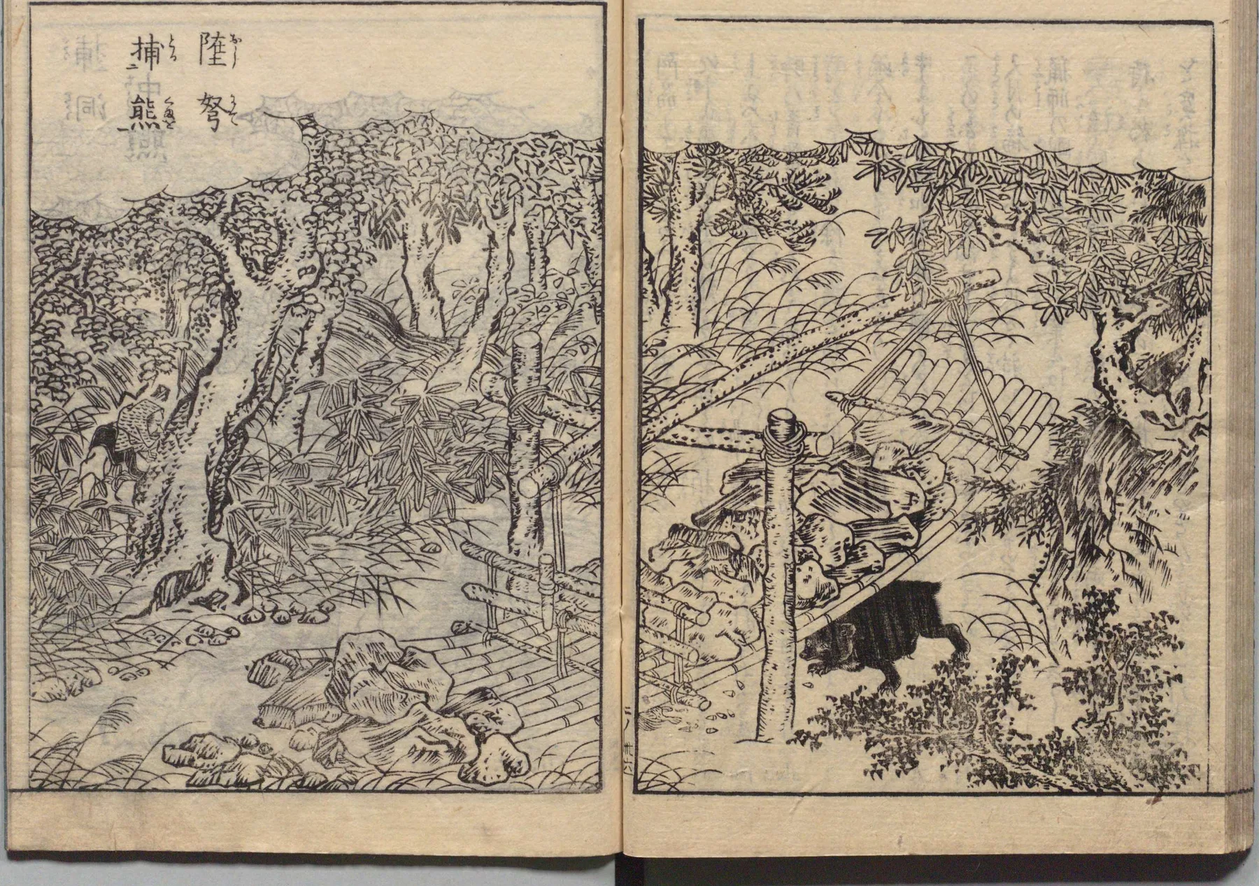 捕熊洞