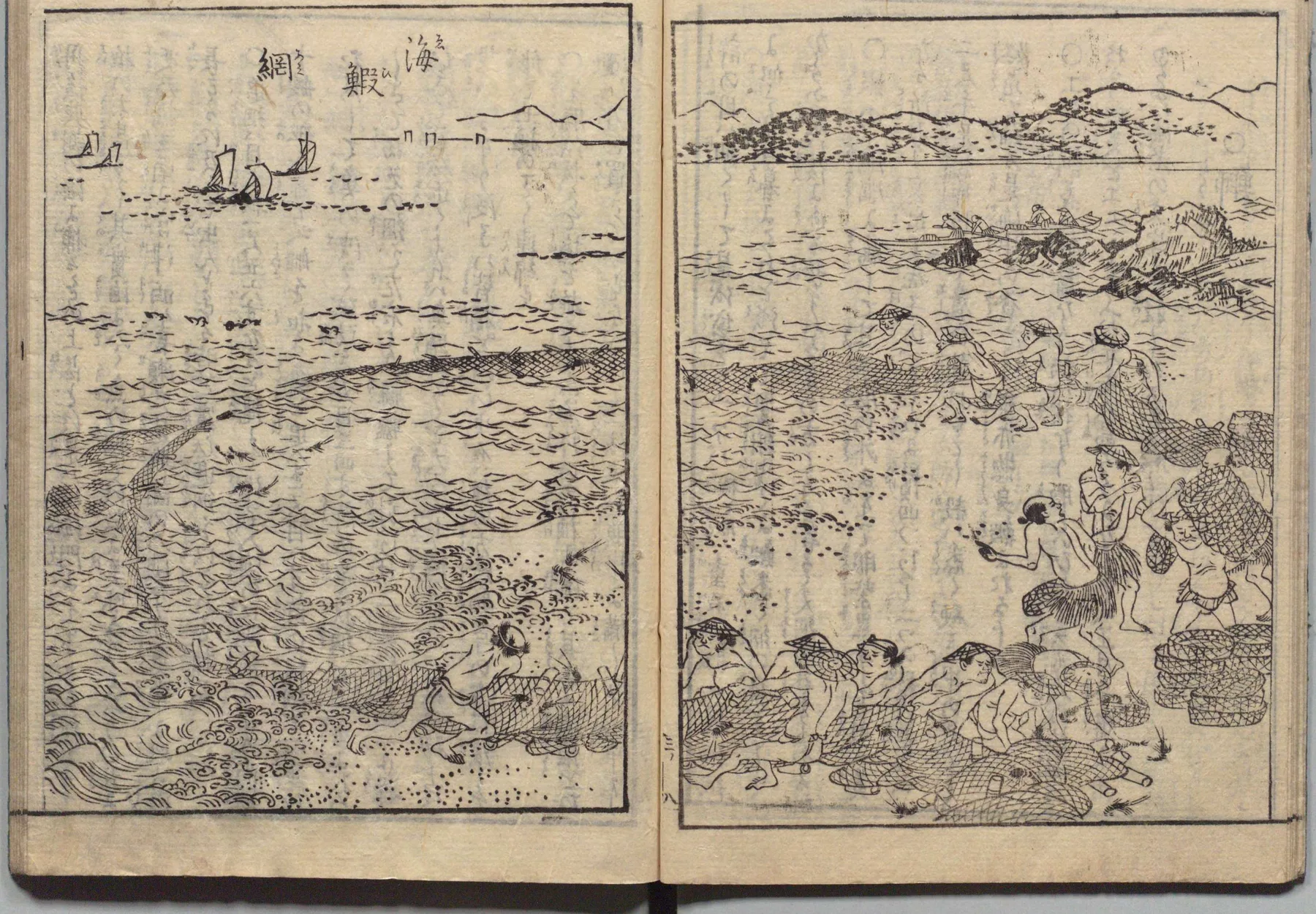 伊勢海老