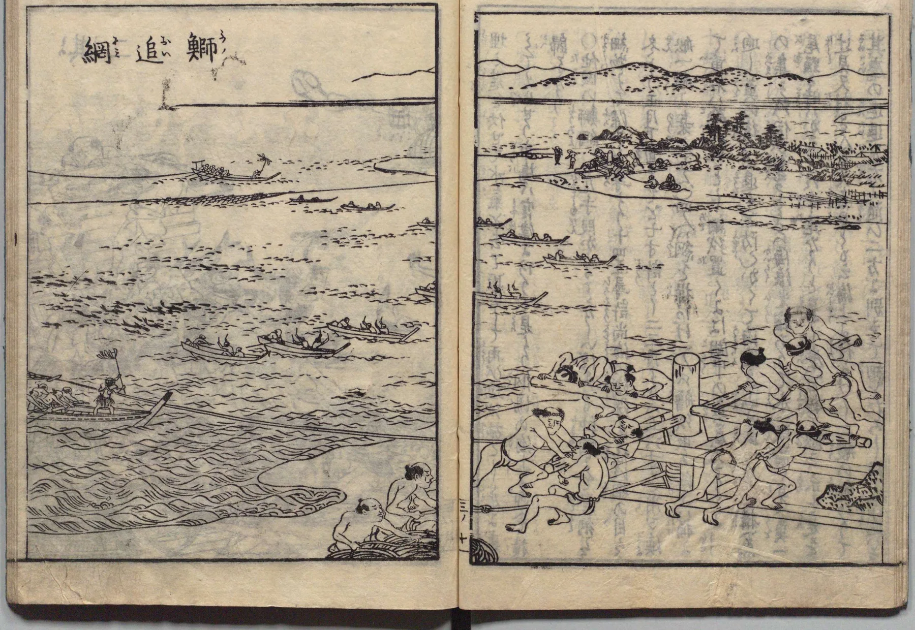鰤追網
