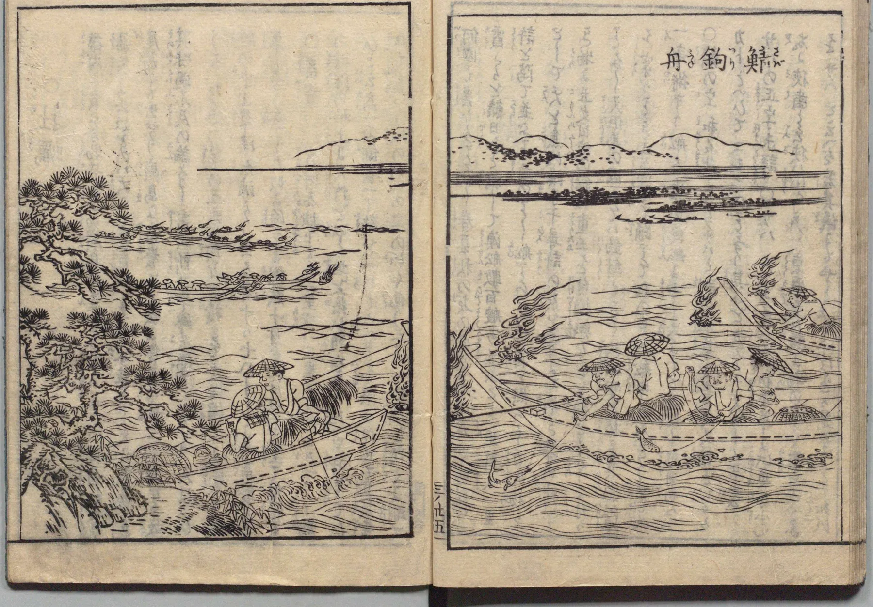 鯖流し網の図